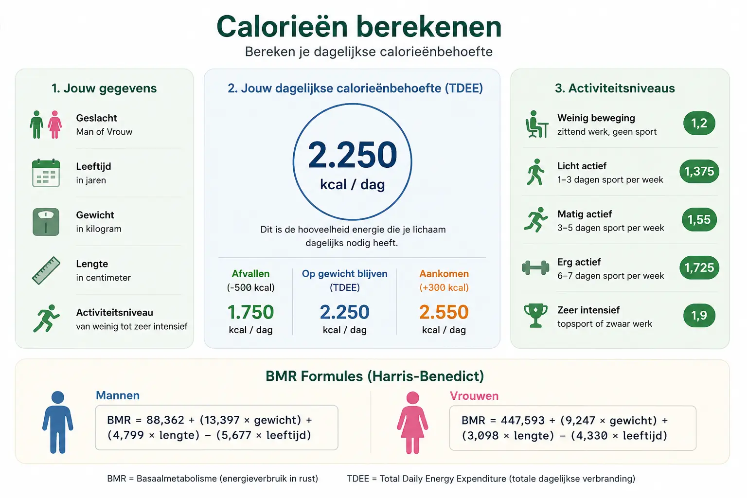 Calorieën berekenen calculator dagelijkse caloriebehoefte